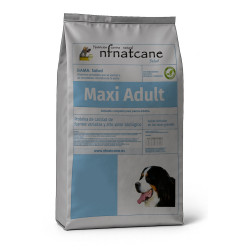 Maxi Adult