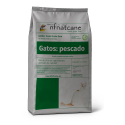 Gatos Peixe
