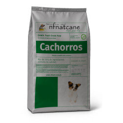 Cachorros